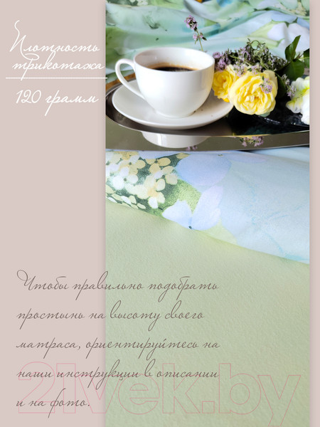 Изображение товара Простыня Luxsonia Трикотаж на резинке 200x200 / Мр0010-4 (салатовый)