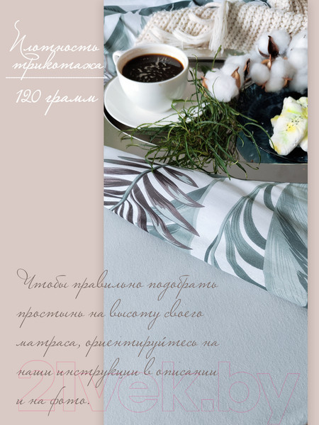 Изображение товара Простыня Luxsonia Трикотаж на резинке 200x200 / Мр0010-10 (светло-серый)