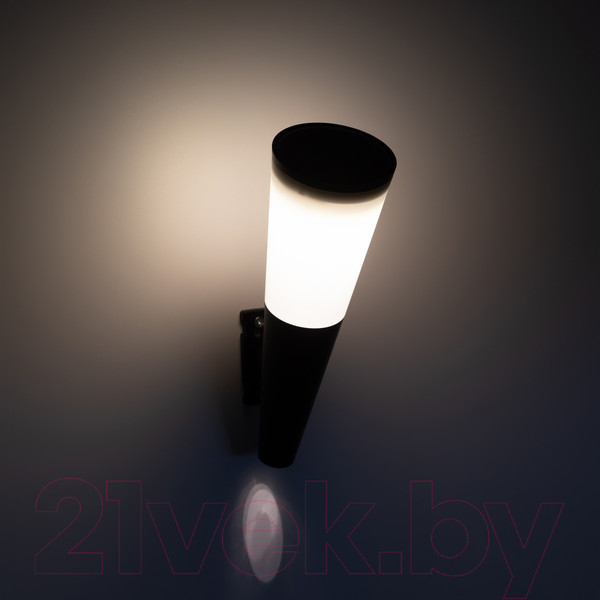 Изображение товара Светильник уличный ЭРА ERAFS012-09 / Б0057596