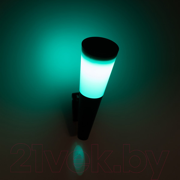 Изображение товара Светильник уличный ЭРА ERAFS012-09 / Б0057596