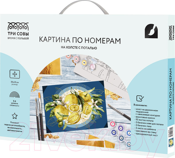 Изображение товара Картина по номерам Три совы Лимоны / КХп_48130