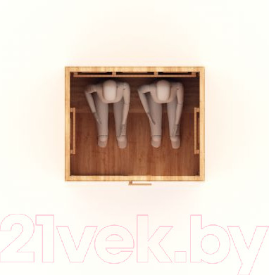 Изображение товара Инфракрасная сауна Шингарёв и Ко Прямая 2-местная