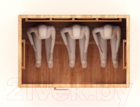 Изображение товара Инфракрасная сауна Шингарёв и Ко Прямая 3-местная