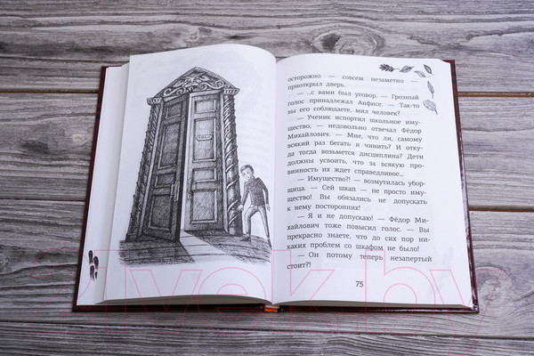 Изображение товара Книга АСТ Школа №13. Тень из шкафа (Рогожина А.)