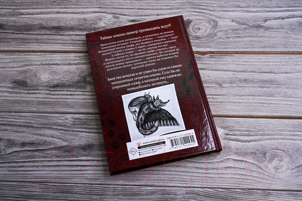 Изображение товара Книга АСТ Школа №13. Тень из шкафа (Рогожина А.)