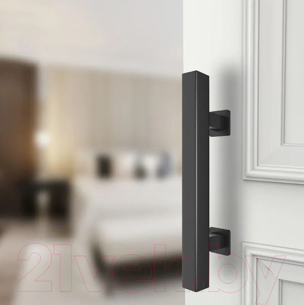 Изображение товара Ручка дверная PSG Loft 683