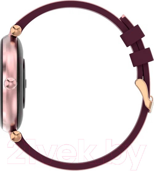 Изображение товара Умные часы Canyon Semifreddo SW-61 / CNS-SW61BR