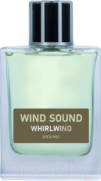 Изображение товара Туалетная вода Brocard Wind Sound Whirlwind (100мл)