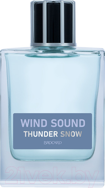 Изображение товара Туалетная вода Brocard Wind Sound Thunder Snow (100мл)