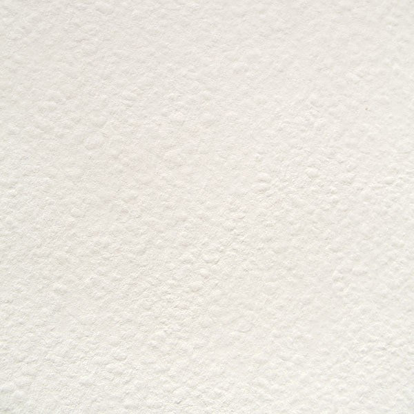 Изображение товара Альбом для рисования ГАММА Студия / 40C01G720W (20л)