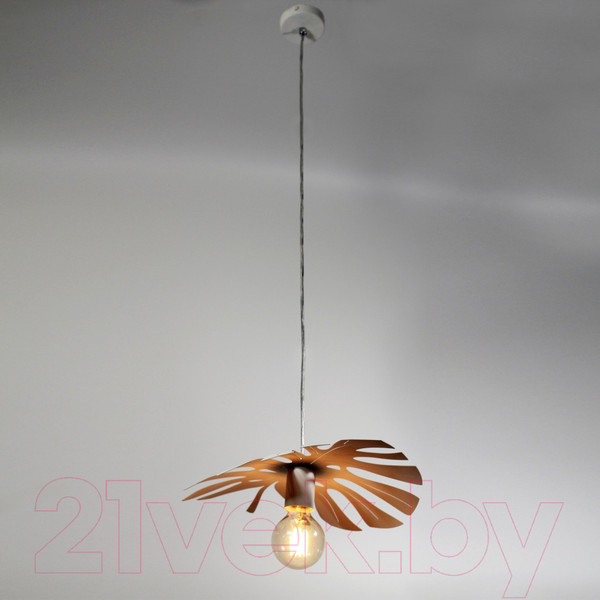 Изображение товара Потолочный светильник Элетех Монстера 211 НСБ 01-60-166 Е27 / 1005405156