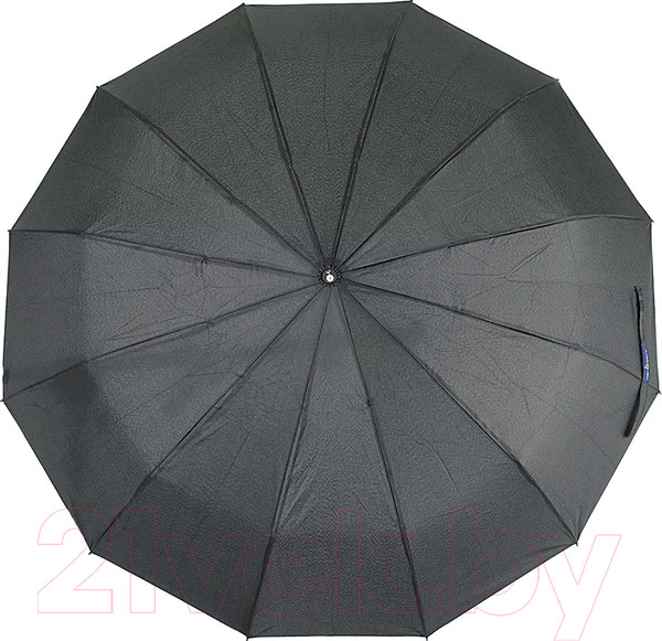 Изображение товара Зонт складной Rain Berry 734-31202 (черный)
