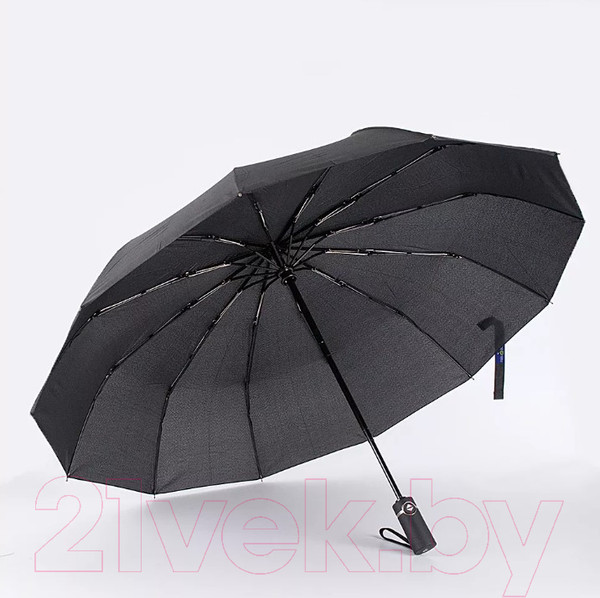 Изображение товара Зонт складной Rain Berry 734-31202 (черный)