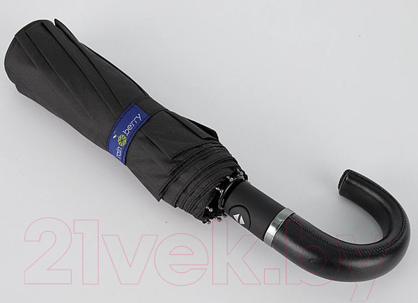 Изображение товара Зонт складной Rain Berry 734-5810N (черный)