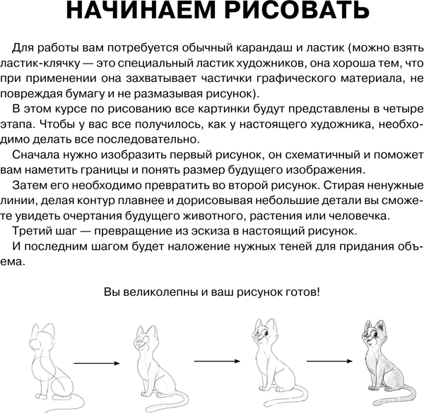 Изображение товара Книга АСТ Суперкурс по рисованию. Волшебный лес (Грей М.)