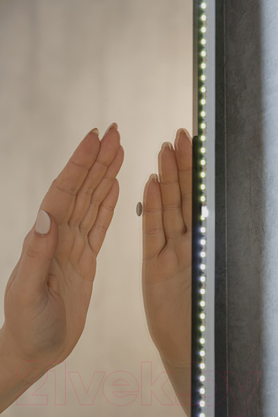 Изображение товара Зеркало Silver Mirrors Viva Black 55x105 / LED-00002689