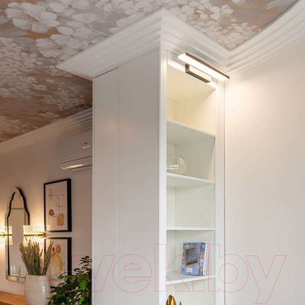 Изображение товара Подсветка для картин и зеркал Евросвет Sankara LED (серебристый)