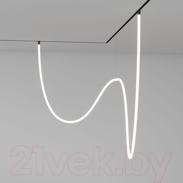 Изображение товара Трековый светильник Elektrostandard Slim Magnetic Full Light N05 / 85028/01