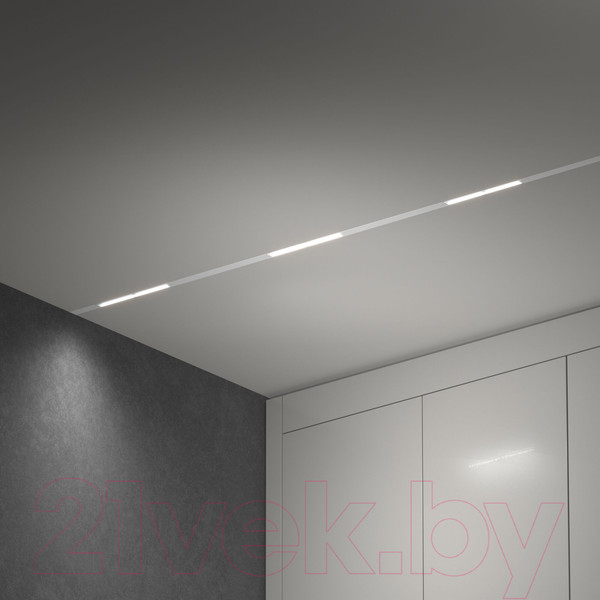 Изображение товара Трековый светильник Elektrostandard Slim Magnetic WL02 / 85008/01 (белый)