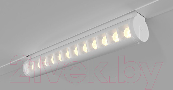 Изображение товара Трековый светильник Elektrostandard Alter 85049/01 (белый)