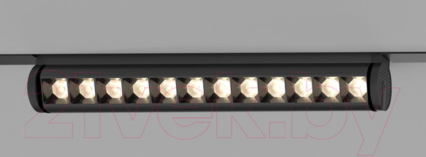 Изображение товара Трековый светильник Elektrostandard Alter 85049/01 (черный)