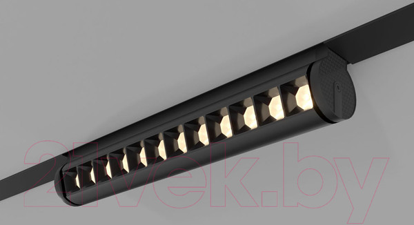Изображение товара Трековый светильник Elektrostandard Alter 85049/01 (черный)
