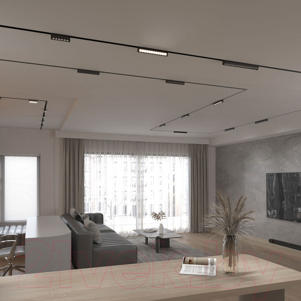 Изображение товара Трековый светильник Elektrostandard Alter 85049/01 (черный)