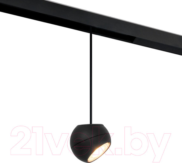 Изображение товара Трековый светильник Elektrostandard Lars 85033/01 (черный)