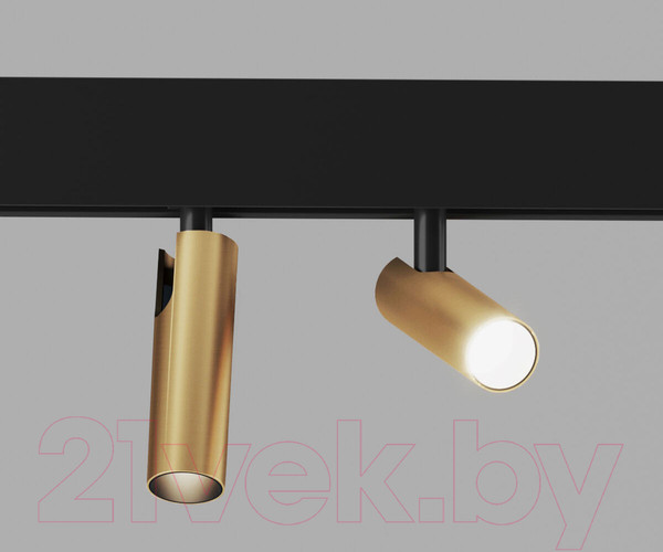 Изображение товара Трековый светильник Elektrostandard Dual 85046/01 (латунь)