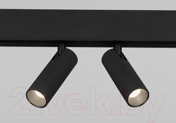 Изображение товара Трековый светильник Elektrostandard Dual 85046/01 (черный)