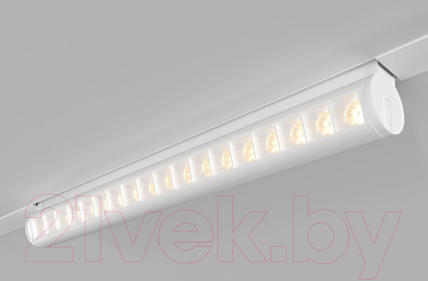 Изображение товара Трековый светильник Elektrostandard Alter 85050/01 (белый)