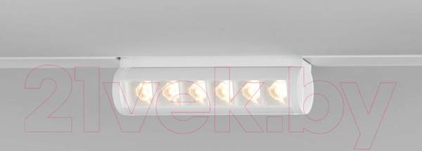 Изображение товара Трековый светильник Elektrostandard Alter 85048/01 (белый)