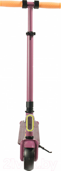 Изображение товара Электросамокат Accesstyle Panda 13S