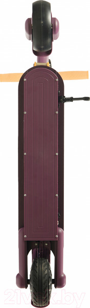 Изображение товара Электросамокат Accesstyle Panda 13S