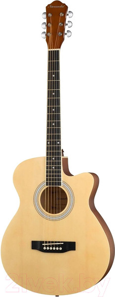 Изображение товара Акустическая гитара Naranda HS-4040-N