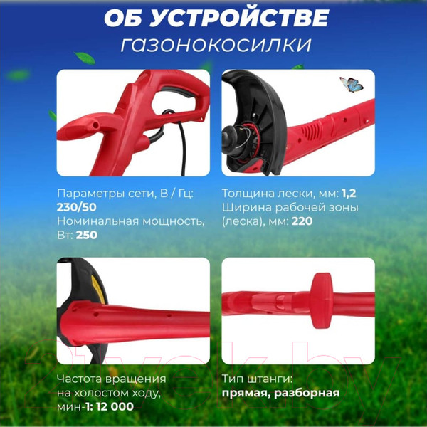 Изображение товара Триммер электрический Wortex TE 2203-1 (0318251)