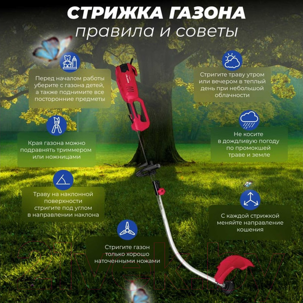 Изображение товара Триммер электрический Wortex TE 3610-1 S (0318225)