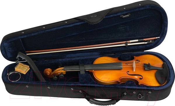 Изображение товара Скрипка Cascha HH-2133 (с футляром и аксессуарами)