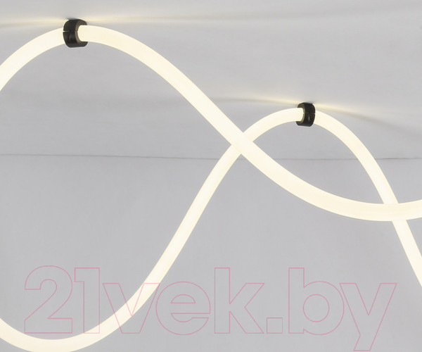 Изображение товара Потолочный светильник Kinklight Венди 08031-500.19 (черный)