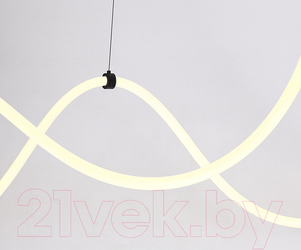 Изображение товара Потолочный светильник Kinklight Венди 08031-500.19 (черный)