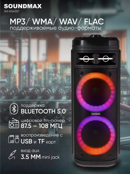 Изображение товара Портативная акустика SoundMax SM-MS4207 (черный)