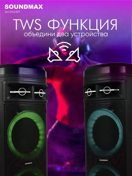 Изображение товара Портативная акустика SoundMax SM-MS4207 (черный)