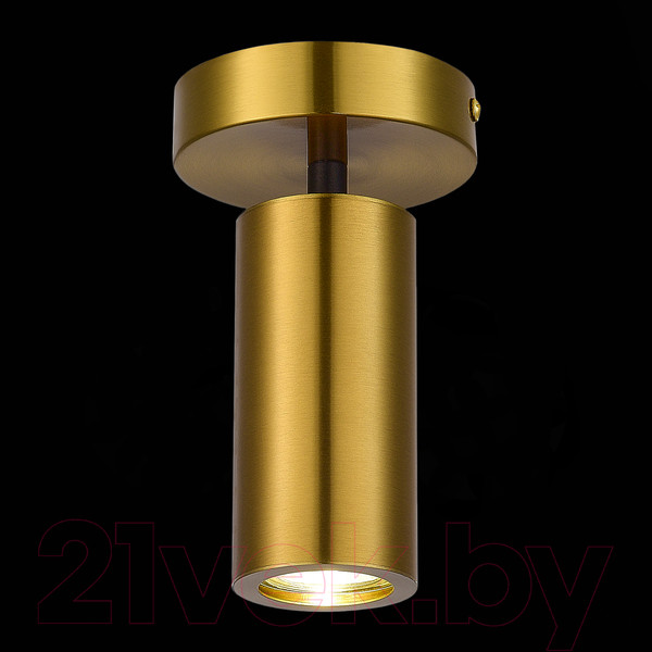 Изображение товара Потолочный светильник ST Luce SL1215.402.01
