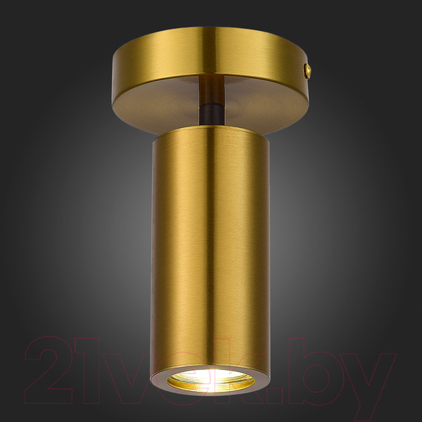 Изображение товара Потолочный светильник ST Luce SL1215.402.01
