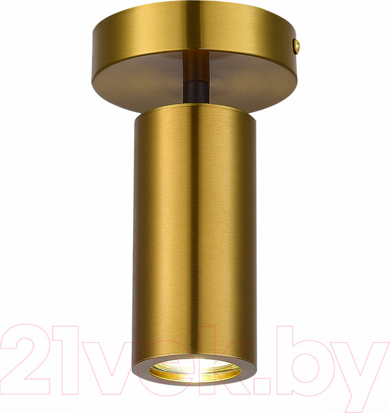 Изображение товара Потолочный светильник ST Luce SL1215.402.01