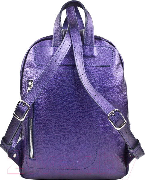 Изображение товара Рюкзак Carlo Gattini Premium Anzolla 3040-58 (синий/фиолетовый)