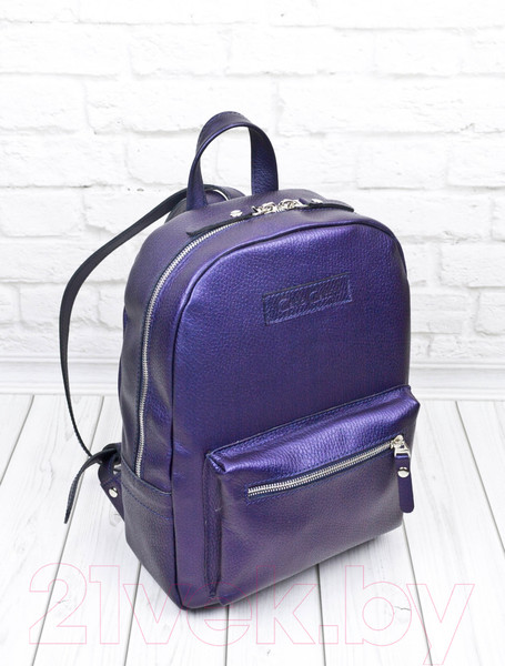 Изображение товара Рюкзак Carlo Gattini Premium Anzolla 3040-58 (синий/фиолетовый)