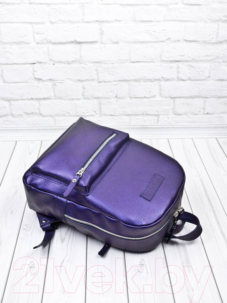 Изображение товара Рюкзак Carlo Gattini Premium Anzolla 3040-58 (синий/фиолетовый)