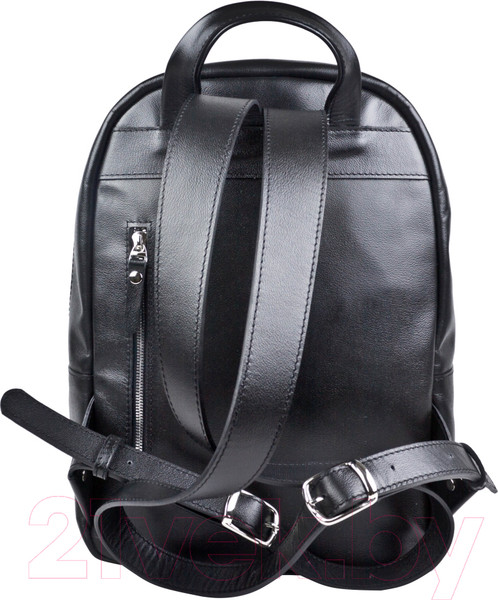 Изображение товара Рюкзак Carlo Gattini Classico Albiate 3103-01 (черный)