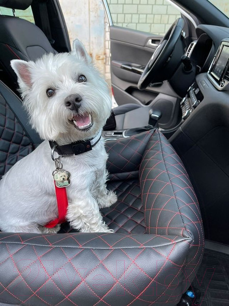 Изображение товара Автокресло для собак ElCrucce 45x45x60 (экокожа, черный/синяя строчка)